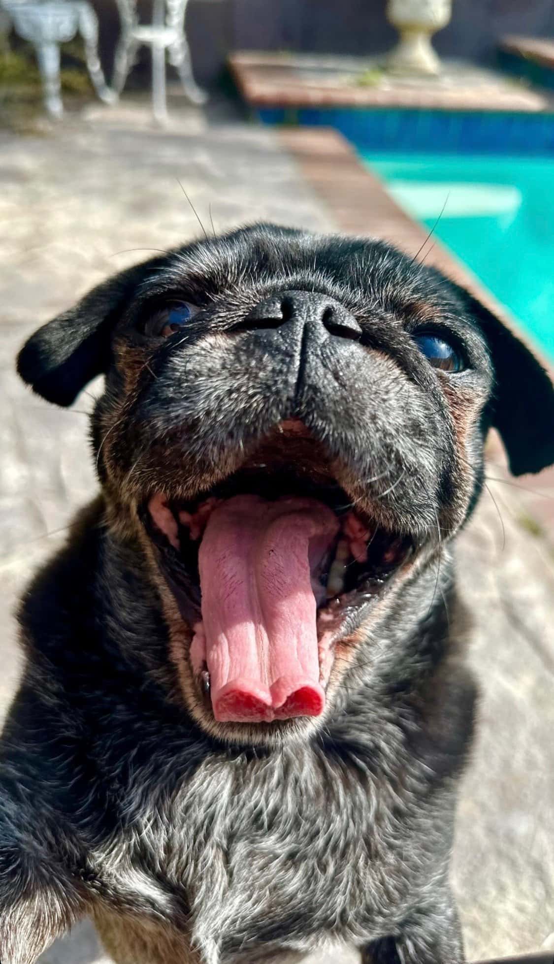 Photo update from a recent stay at Tyler's Pet Boarding