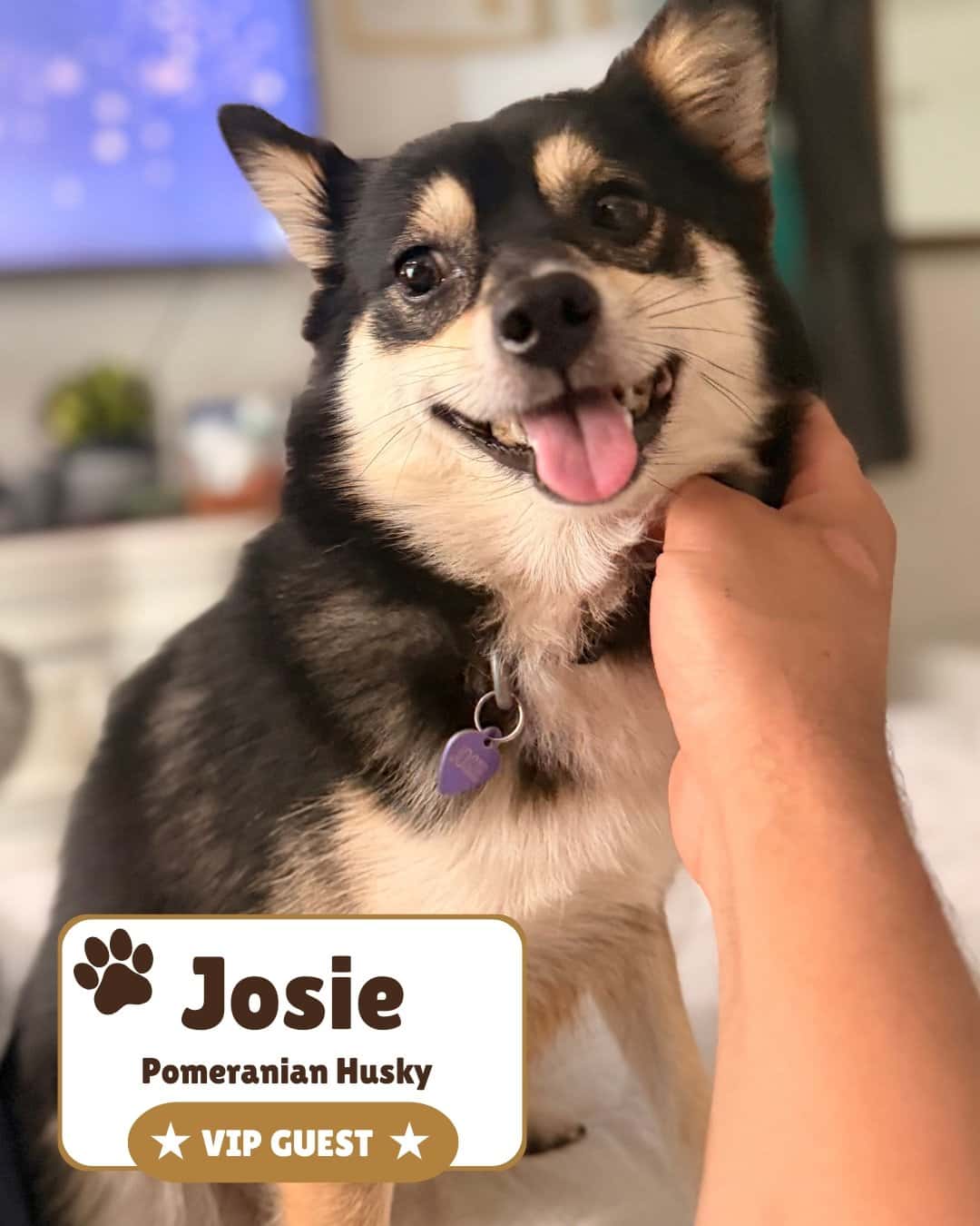 Josie posing for a photo update